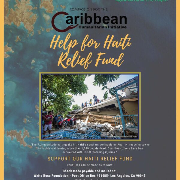 Haiti Relief Poster tjd